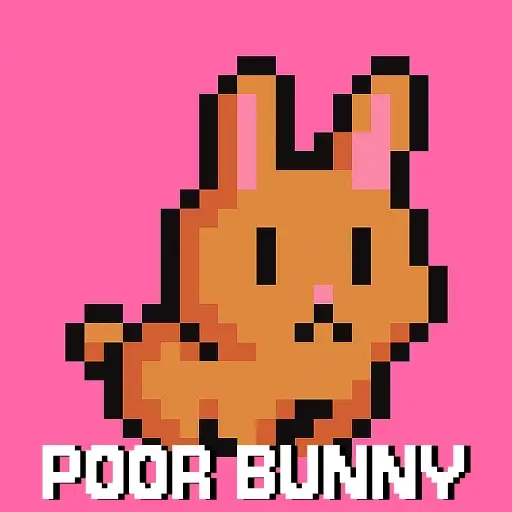 Poor Bunny